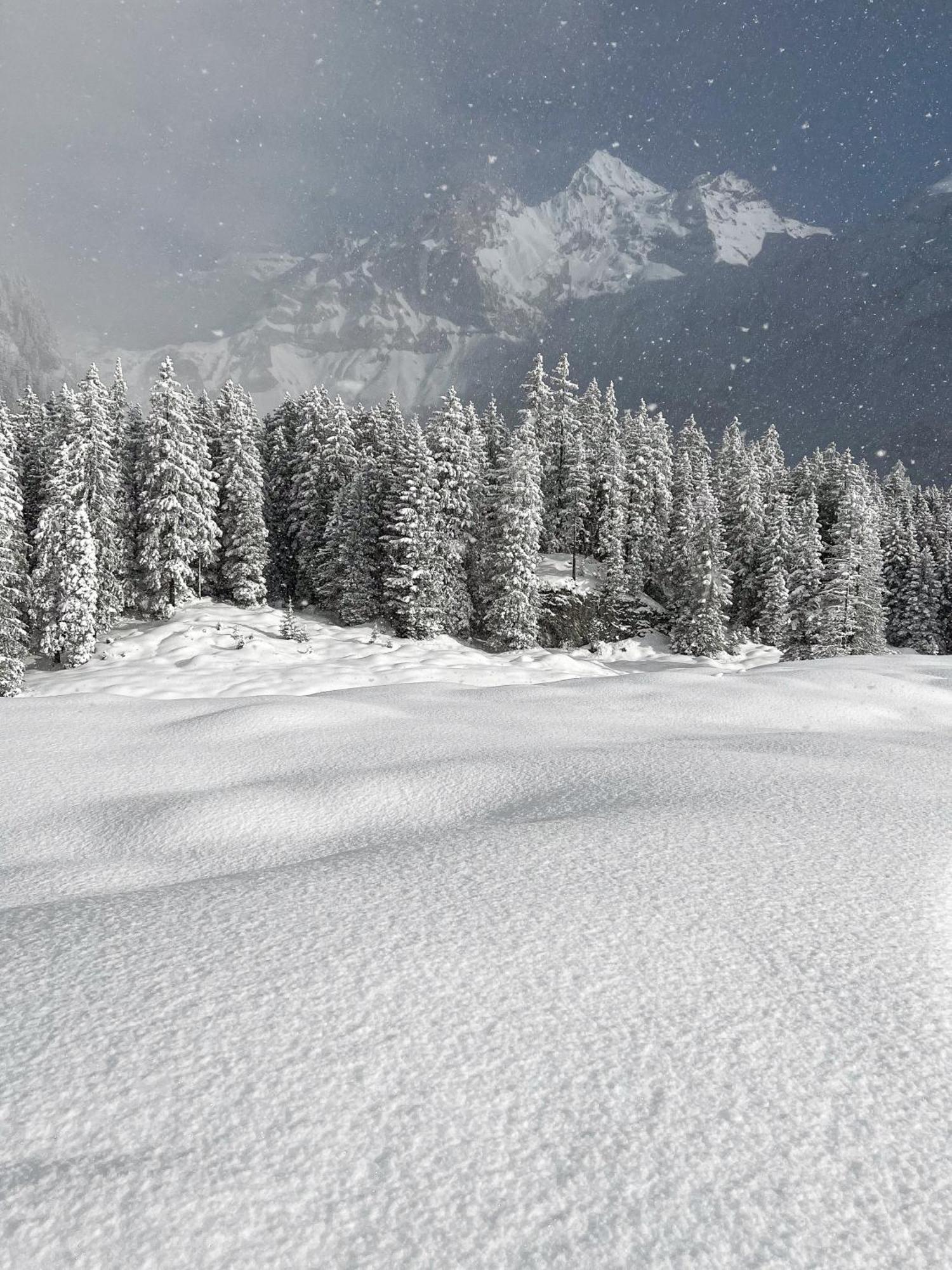 Seilers Vintage Hotel & Spa Kandersteg Luaran gambar